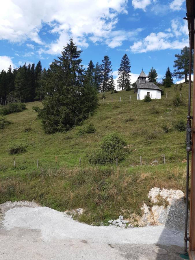 Sonnleit'N Zimmer 6 Abtenau Kültér fotó